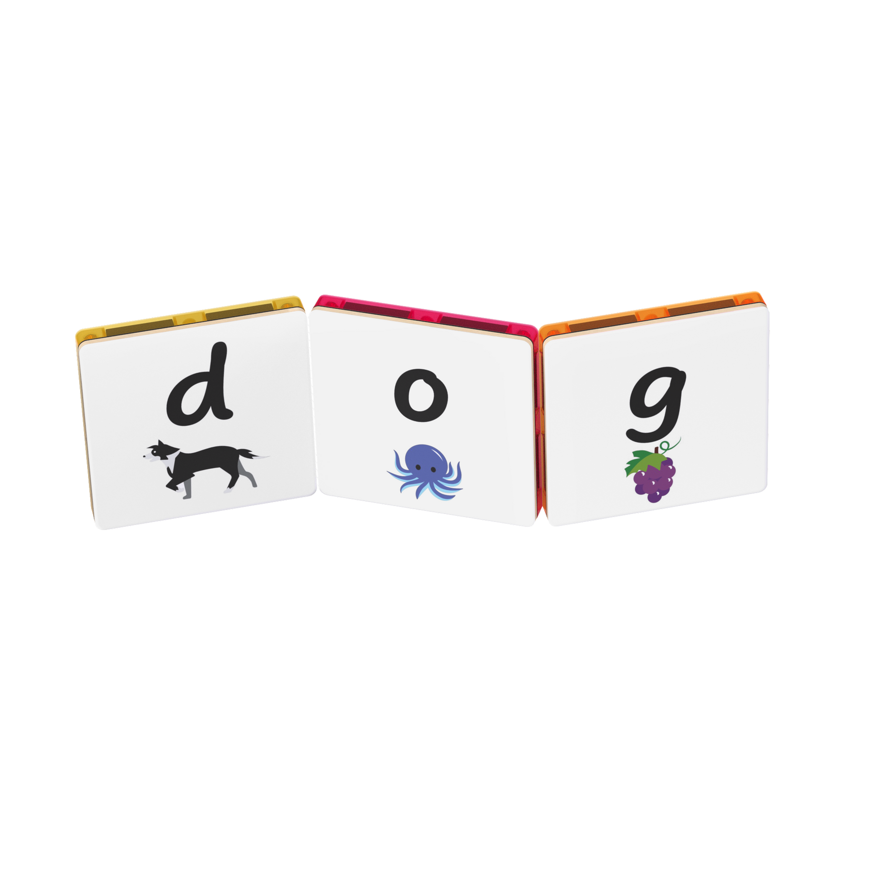 Educational alphabet tile toppers  spelling 'dog' on a white background